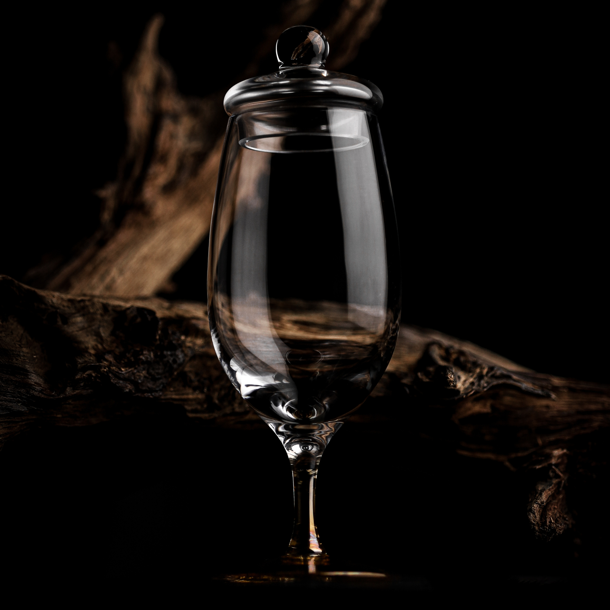 The Amber Exceptional
